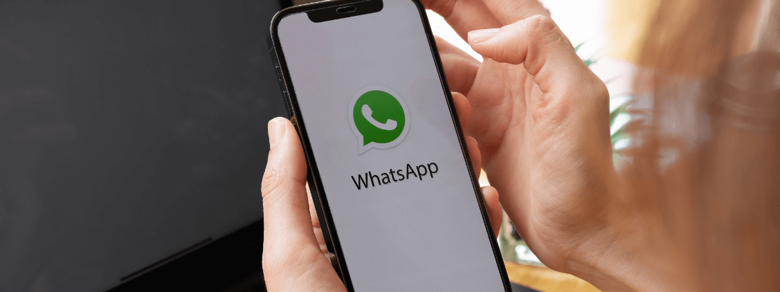 Como Obter O Selo De Verificação No Whatsapp Da Sua Empresa Del Grande 0550